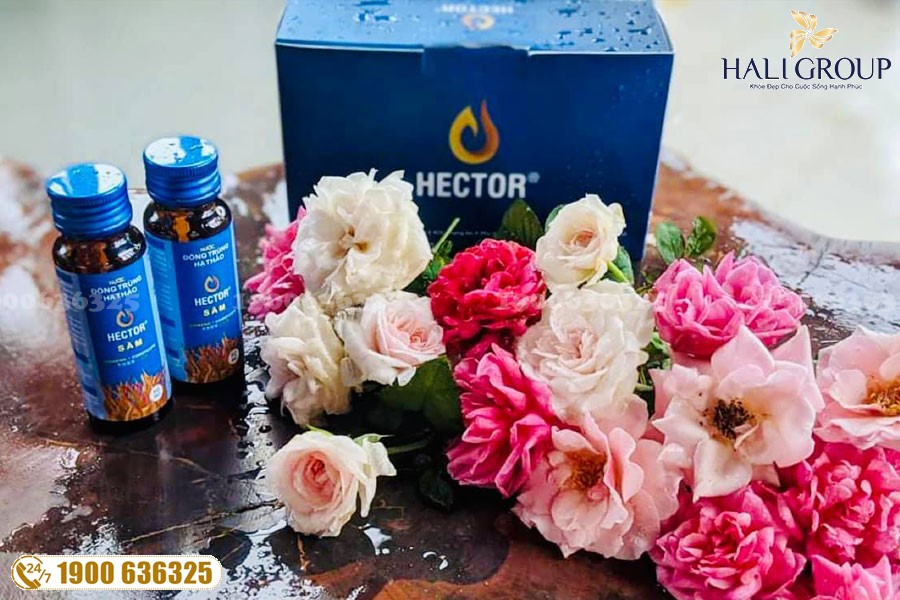 Hector Sâm - sản phẩm tuyệt vời cho sức khỏe của bạn